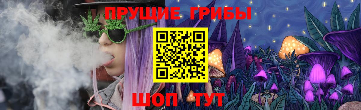 Псилоцибиновые грибы мицелий Менделеевск